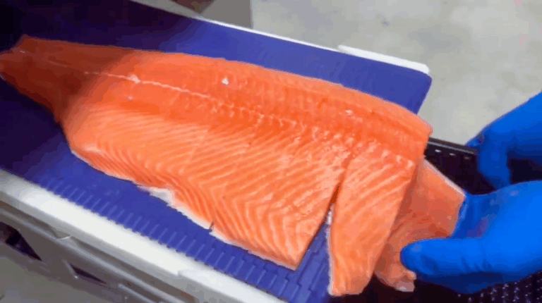 Weight or Length-Based Portioning: Which Is More Cost-Effective in Production?